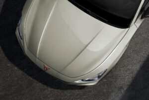 CUPRA Leon - la voiture de couleur Gris Taiga.